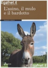 Asino, Il Mulo E Il Bardotto di Raffaele Baroncini