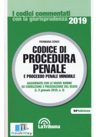 codice di procedura penale e processo penale minorile 2019