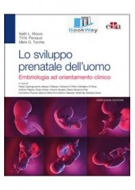 sviluppo prenatale dell'uomo (lo)