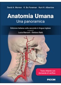 Anatomia Umana una Panoramica di Morton, Foreman, Albertine