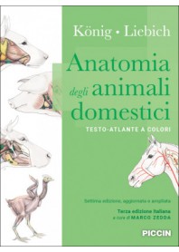 Anatomia degli Animali Domestici di Konig, Liebich