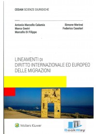 lineamenti  di diritto internazionale ed europeo delle migrazioni