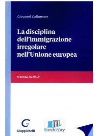disciplina dell'immigrazione irregolare nell'unione europea