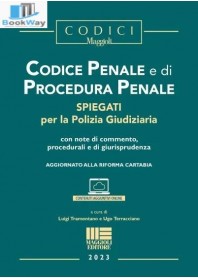 codice penale e di procedura penale