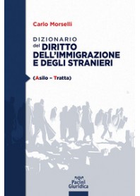 DIZIONARIO DEL DIRITTO DELL'IMMIGRAZIONE E DEGLI STRANIERI di MORSELLI CARLO