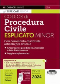 CODICE DI PROCEDURA CIVILE ESPLICATO