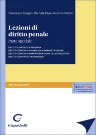 LEZIONI DI DIRITTO PENALE di PAPA MICHELE VALLINI ANTONIO C