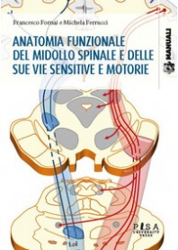 ANATOMIA FUNZIONALE DEL MIDOLLO SPINALE E DELLE SUE VIE SENSITIVE E MOTORIE di FORNAI FRANCESCO FERRUCCI MICH