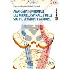 ANATOMIA FUNZIONALE DEL MIDOLLO SPINALE E DELLE SUE VIE SENSITIVE E MOTORIE di FORNAI FRANCESCO FERRUCCI MICH