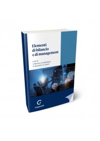 ELEMENTI DI BILANCIO E MANAGEMENT di BERNINI F. BERNINI F. (CUR.) CASTELLANO N