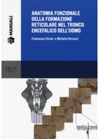 ANATOMIA FUNZIONALE DELLA FORMAZIONE RETICOLARE NEL TRONCO ENCEFALICO DELL'UOMO di FORNAI FRANCESCO FERRUCCI MICH