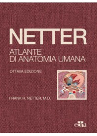ATLANTE DI ANATOMIA UMANA DELUXE CARTONATO - TELATO OTTAVA EDIZIONE di NETTER FRANK H.