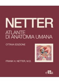 ATLANTE DI ANATOMIA UMANA BROSSURA OTTAVA EDIZIONE di NETTER FRANK H.