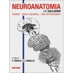 Neuroanatomia di Galligioni